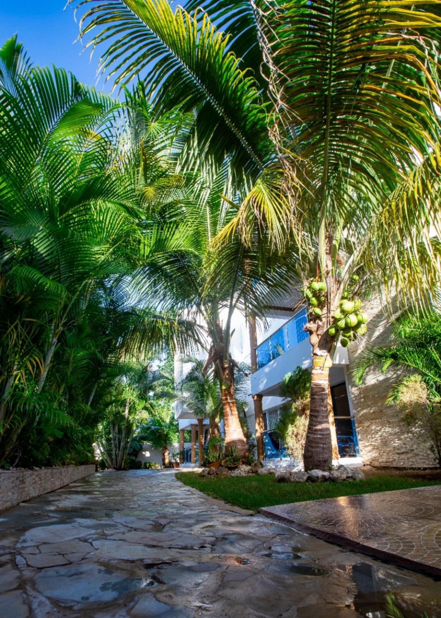 Cozy And Central Apartment 1Br-1Ba With Pool Sosúa エクステリア 写真